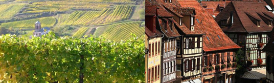 OBERNAI « Route des Vins »