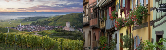 ROUTE DES VINS  » Les Perles du Vignoble »