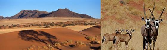 NAMIBIE « LE MONDE DES DUNES ORANGES »