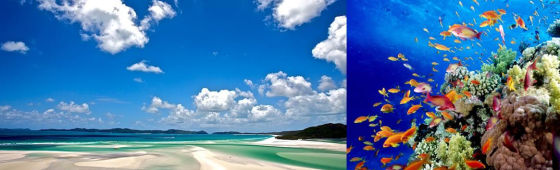 Plages et îles de rêve d’ AUSTRALIE