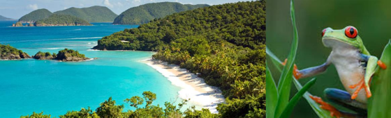 COSTA RICA « AU VOLANT »