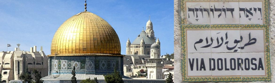 Voyage en TERRE BIBLIQUE