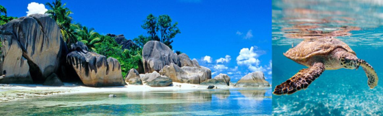 Plages de rêve aux SEYCHELLES
