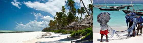 Plages de rêve à ZANZIBAR