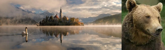 SLOVENIE