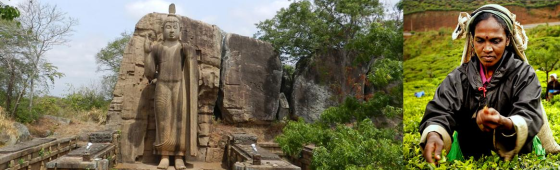 A LA DÉCOUVERTE DU SRI LANKA