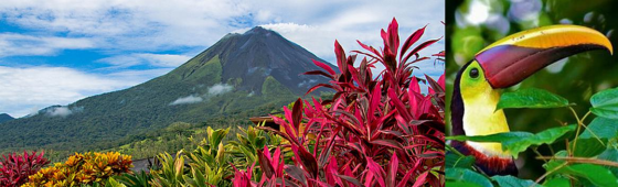 COSTA RICA, LE PARADIS VERT