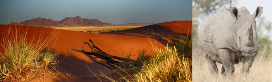 CAP SUR LA NAMIBIE