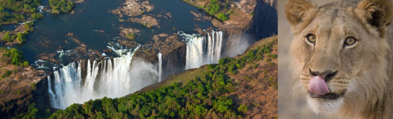 ZIMBABWE & BOTSWANA