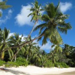 Seychelles - Ile de Mahé - Plage de Takamaka