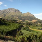 Afrique du Sud - Région de Franschoek - Route des Vins