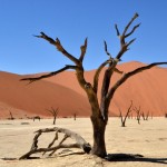 Namibie - Dead Vlei
