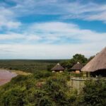 Parc National Kruger - Afrique du Sud