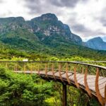 Jardin botanique national Kirstenbosch - Afrique du Sud
